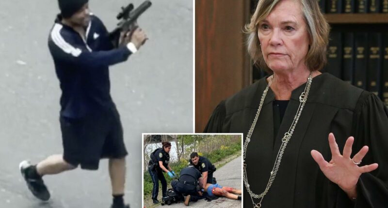 Judge admits sheâs âtaking a chanceâ on Cambridge rampage suspect Tyler Brown after handing him light sentenceÂ 